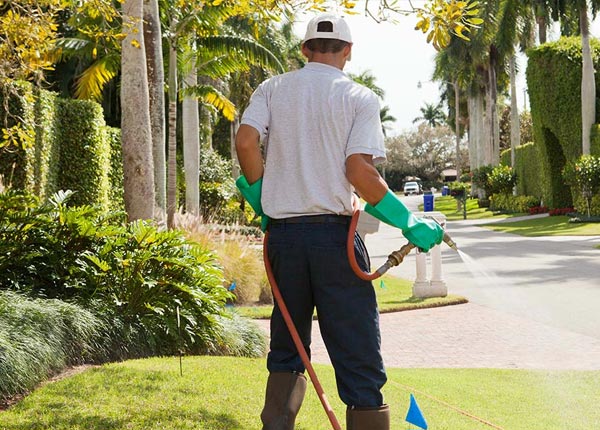 About Shelby Gap KY Pest Control Pros